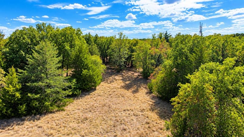 109 Bear Cat Court, Alvord TX 76225 - Photo 35