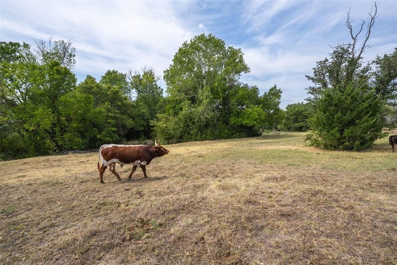 7000 E Bankhead Highway, Aledo TX 76008 - Photo 33