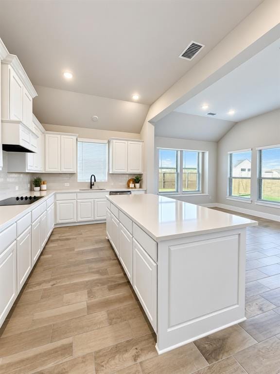 1809 Hidden Creek Drive, Midlothian TX 76065 - Photo 6