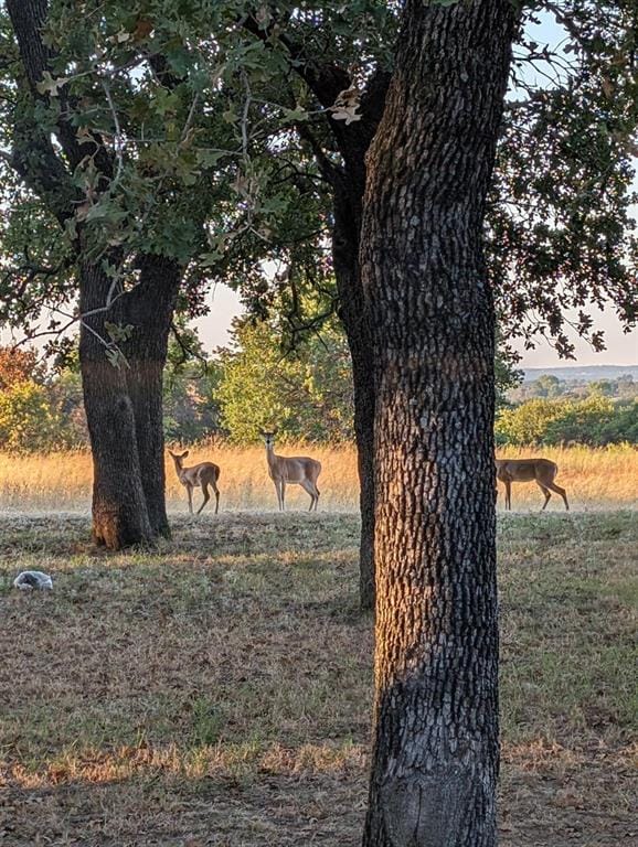 3207 FM 2048, Boyd TX 76023 - Photo 21