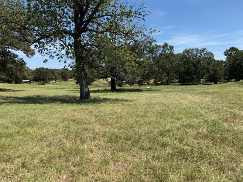 22718 US Highway 69 N, Mineola TX 75773 - Photo 6