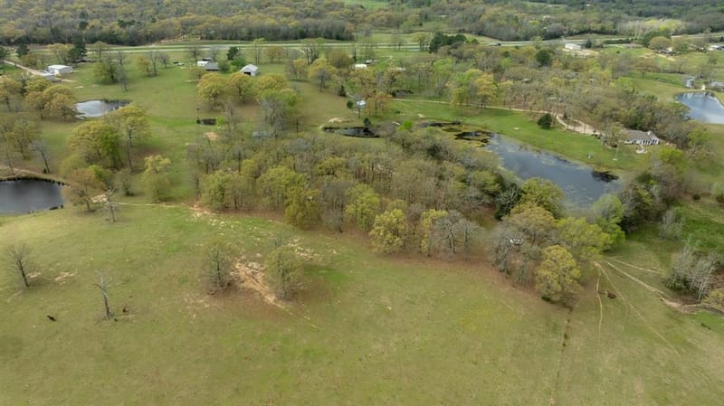 22718 US Highway 69 N, Mineola TX 75773 - Photo 10
