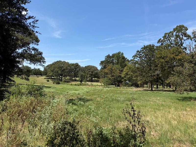 22718 US Highway 69 N, Mineola TX 75773 - Photo 31