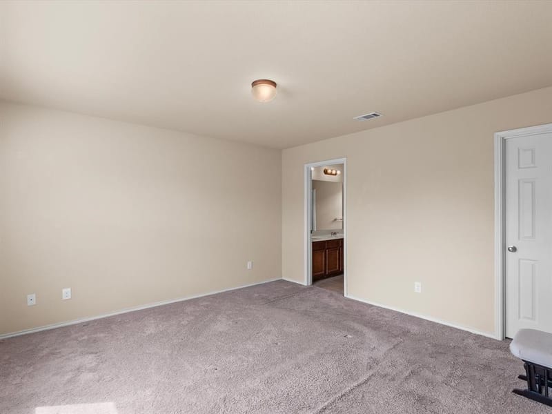 14721 Brandon Drive, Little Elm TX 75068 - Photo 23