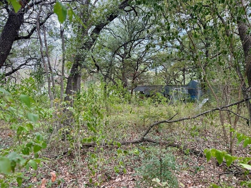 212 County Road 1746, Clifton TX 76634 - Photo 7