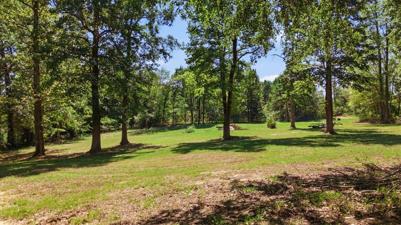 16730 E FM 16, Winona TX 75792 - Photo 29