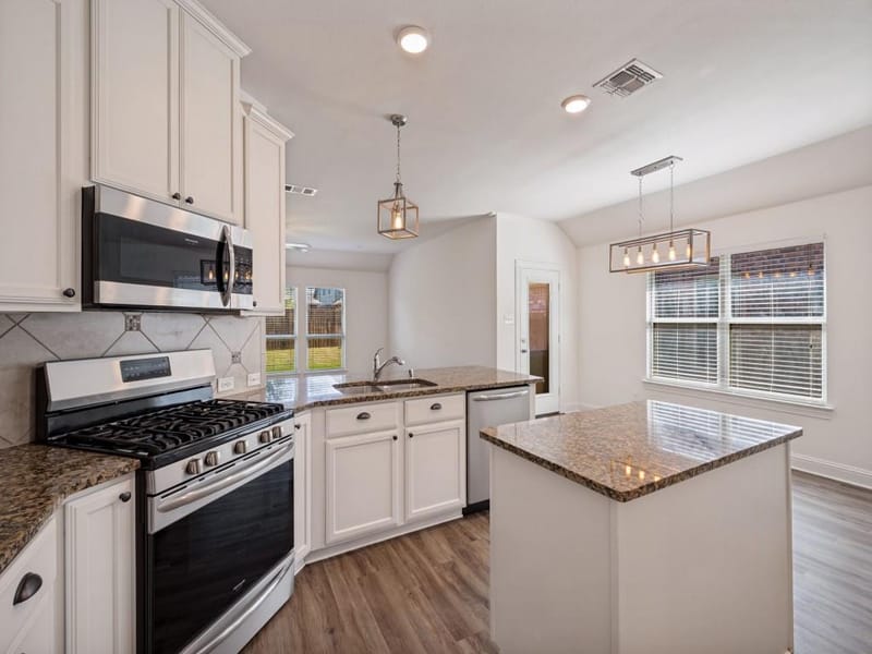 4501 Lakeview Drive, Frisco TX 75036 - Photo 10