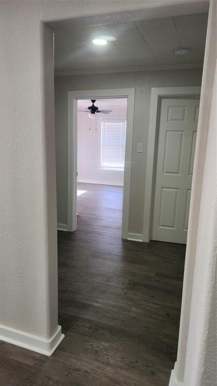 608 W Baldridge Street, Ennis TX 75119 - Photo 10