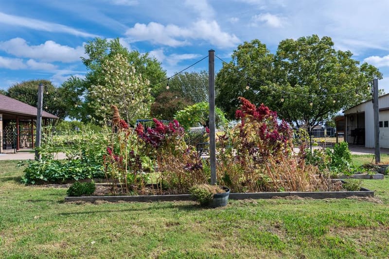 815 W Cook Street, Josephine TX 75173 - Photo 36