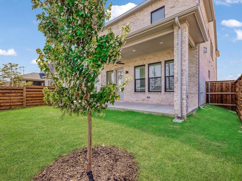 2317 Peters Colony Drive, Little Elm TX 75036 - Photo 28