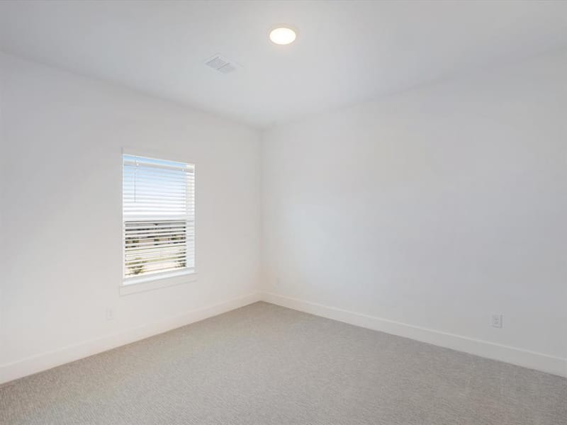 2317 Peters Colony Drive, Little Elm TX 75036 - Photo 20