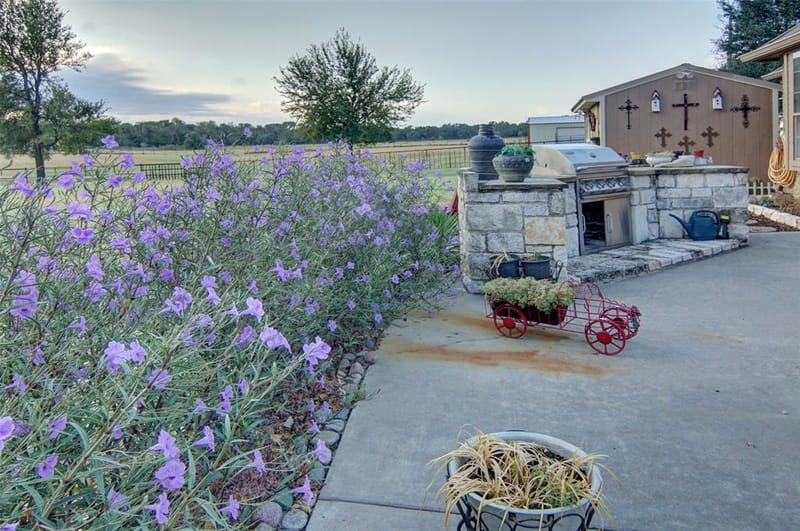 272 Edward Farris Road, Weatherford TX 76085 - Photo 33