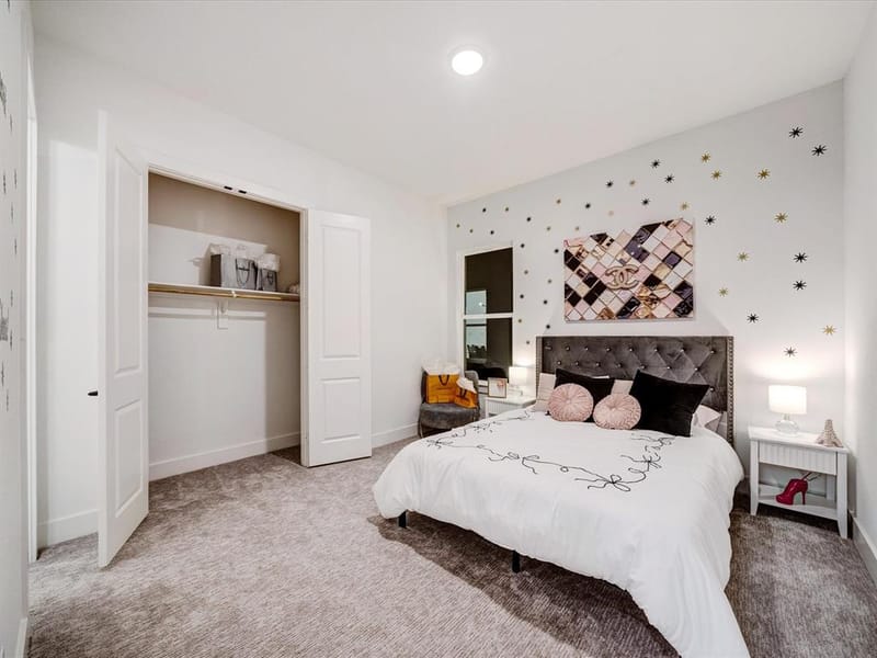 2313 Peters Colony Drive, Little Elm TX 75036 - Photo 18