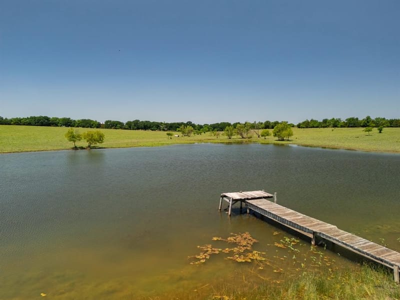 12099 County Road 1028, Blue Ridge TX 75424 - Photo 4