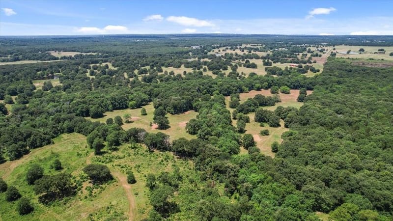 502 County Road 42520, Paris TX 75462 - Photo 13