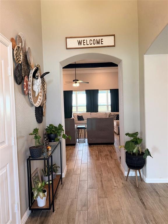 259 Durning Road, Van Alstyne TX 75495 - Photo 5