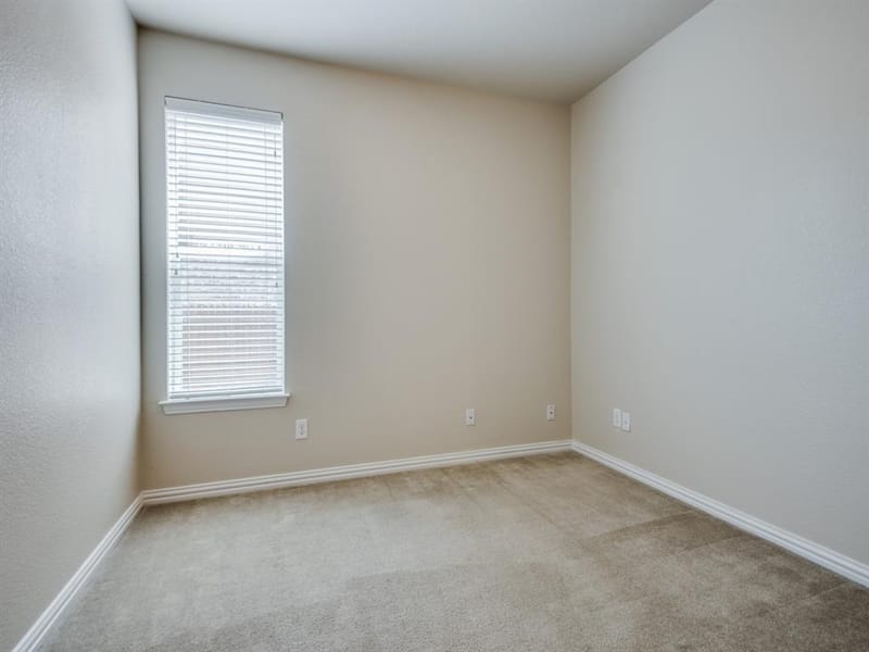2405 Playa Del Mar Drive, Little Elm TX 75068 - Photo 23