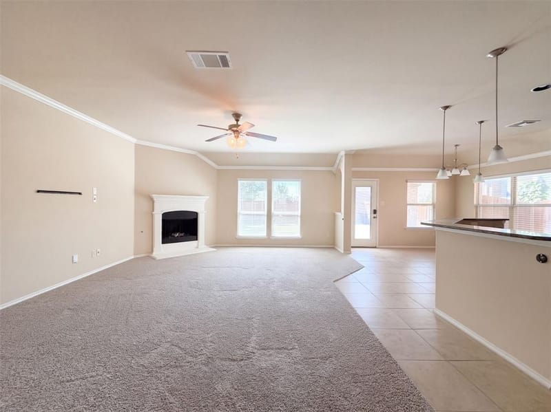 10217 Pear Valley Road, McKinney TX 75072 - Photo 3
