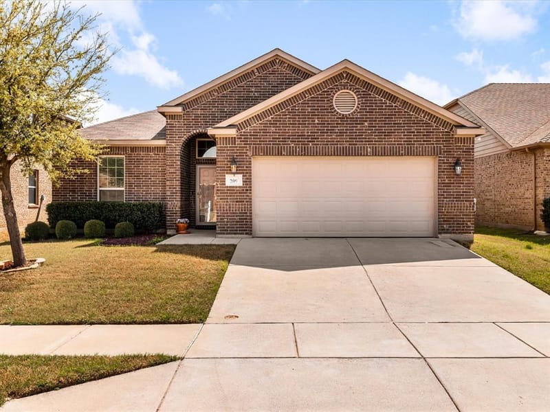 209 Emerald Creek Drive, Fort Worth TX 76131 - Photo 3