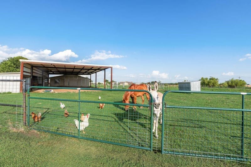 8549 S Fm 548, Royse City TX 75189 - Photo 31