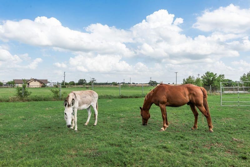8549 S Fm 548, Royse City TX 75189 - Photo 4