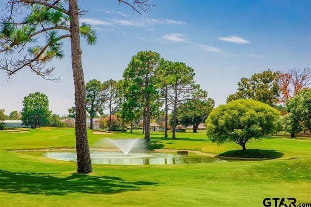 66 S Ryder Cup Trail, Hideaway TX 75771 - Photo 39