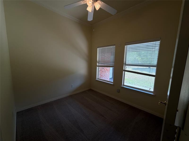 2836 S Lakeview Drive, Cedar Hill TX 75104 - Photo 19