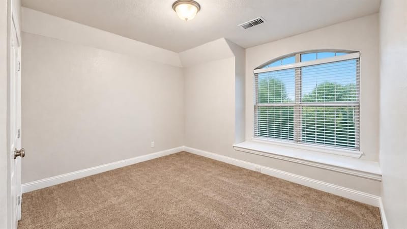 2909 Mountain Creek Drive, McKinney TX 75072 - Photo 29