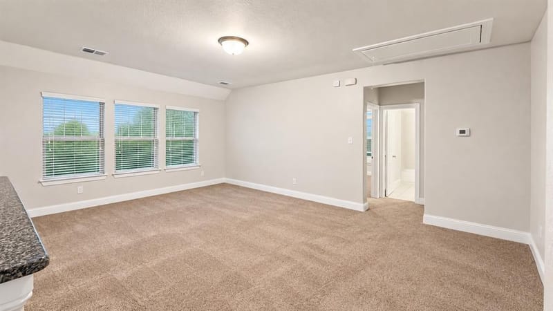 2909 Mountain Creek Drive, McKinney TX 75072 - Photo 25
