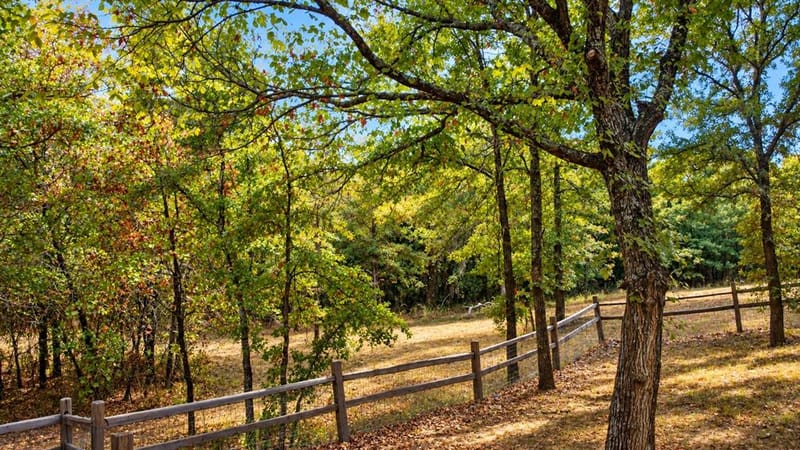 1098 Paradise Parkway, Poolville TX 76487 - Photo 26