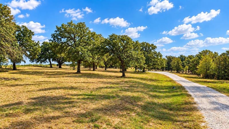 1098 Paradise Parkway, Poolville TX 76487 - Photo 38