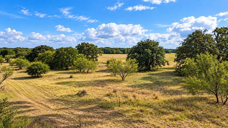 1098 Paradise Parkway, Poolville TX 76487 - Photo 33