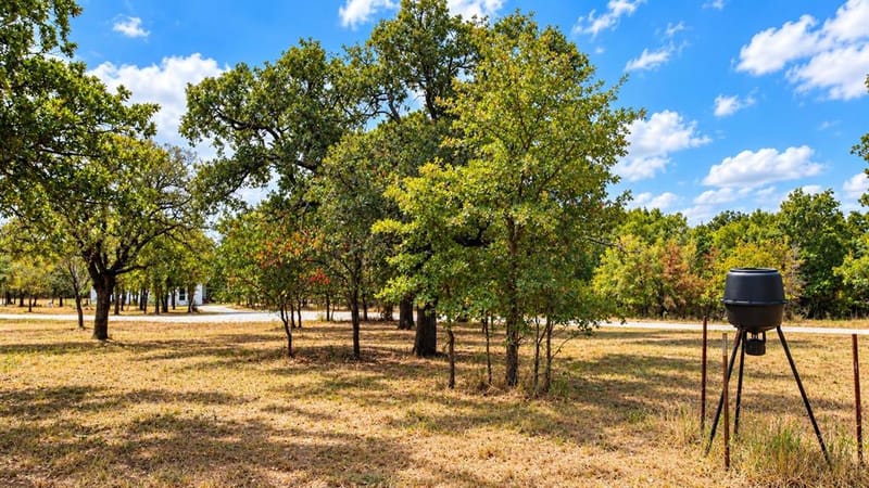 1098 Paradise Parkway, Poolville TX 76487 - Photo 37