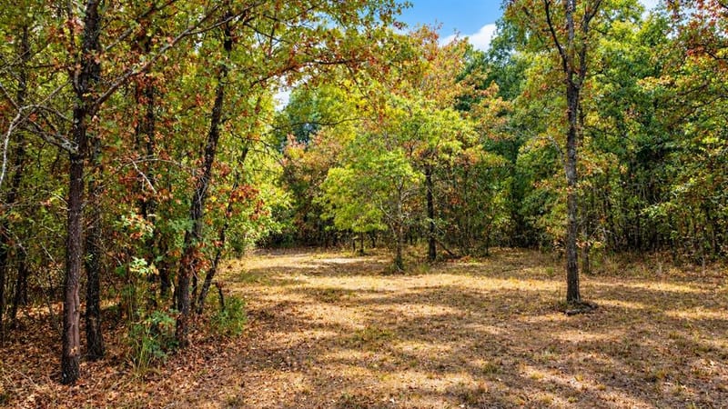 1098 Paradise Parkway, Poolville TX 76487 - Photo 31