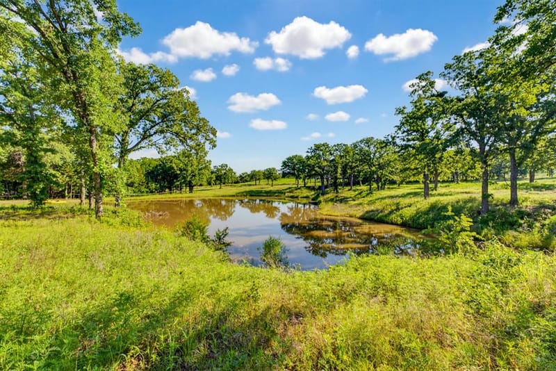TBD County Road 1270, Alvord TX 76225 - Photo 6