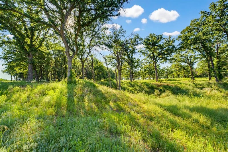 TBD County Road 1270, Alvord TX 76225 - Photo 8