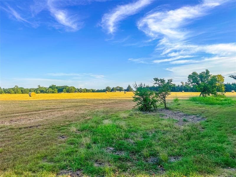 5201 Windmill Lane, Celina TX 75009 - Photo 16