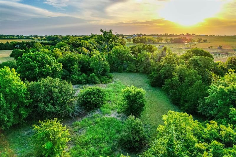 5201 Windmill Lane, Celina TX 75009 - Photo 11
