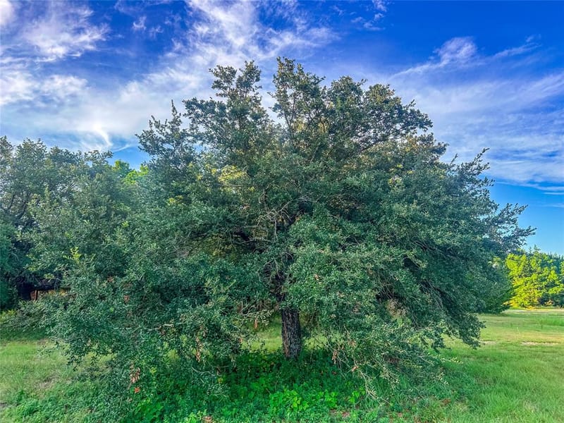5201 Windmill Lane, Celina TX 75009 - Photo 21