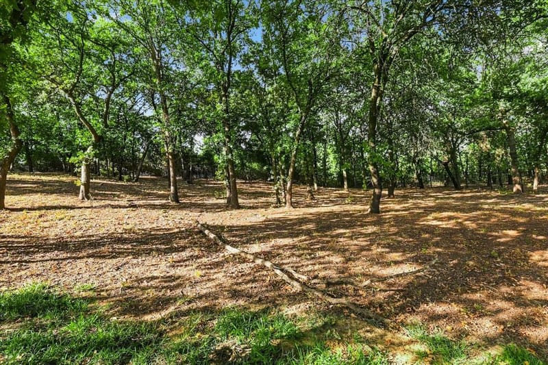 686 Knob Hill Court, Argyle TX 76226 - Photo 37