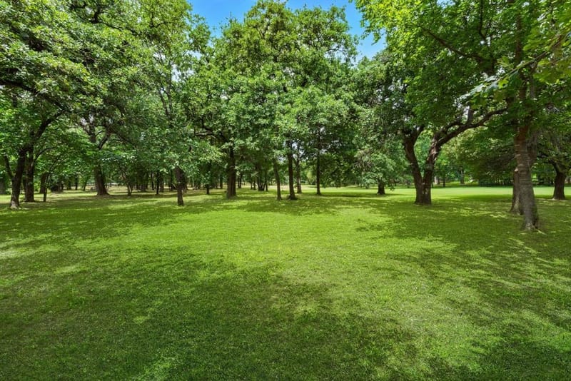 233 Hickory Ridge Court, Argyle TX 76226 - Photo 40