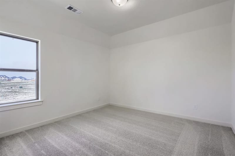 1705 Clover Fern Drive, Celina TX 75009 - Photo 17
