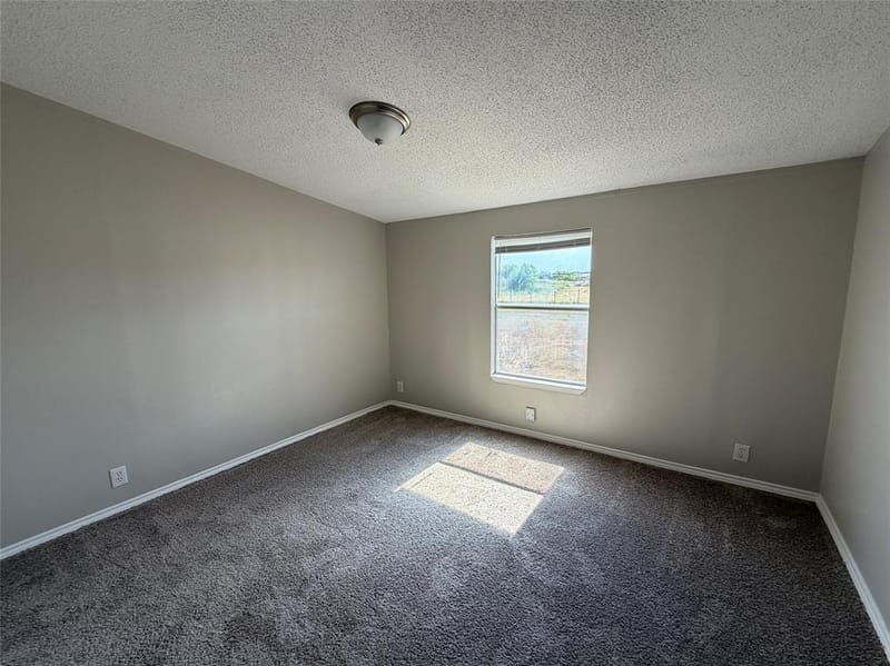 4116 Cherry Ridge Lane, Joshua TX 76058 - Photo 18