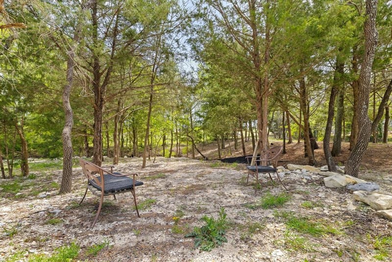 313 Ryker Lane, Gunter TX 75058 - Photo 38