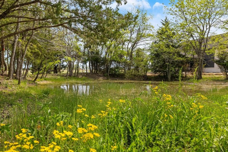 313 Ryker Lane, Gunter TX 75058 - Photo 37