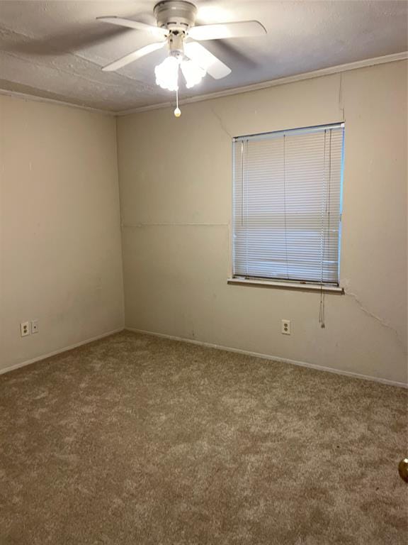 908 Cross Bend Road, Plano TX 75023 - Photo 11