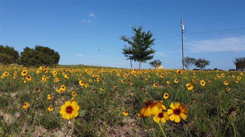 601 Hollow Drive, Lipan TX 76462 - Photo 36