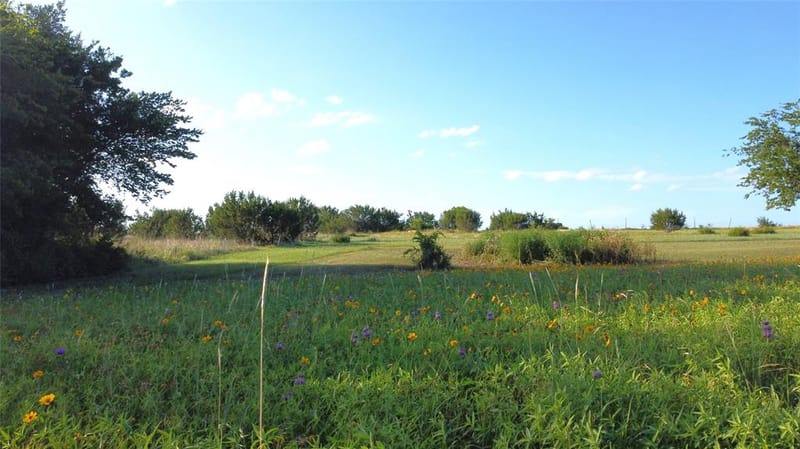 601 Hollow Drive, Lipan TX 76462 - Photo 29