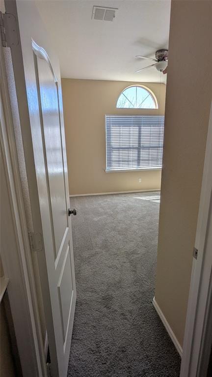 1029 Magnolia Lane, Cedar Hill TX 75104 - Photo 37