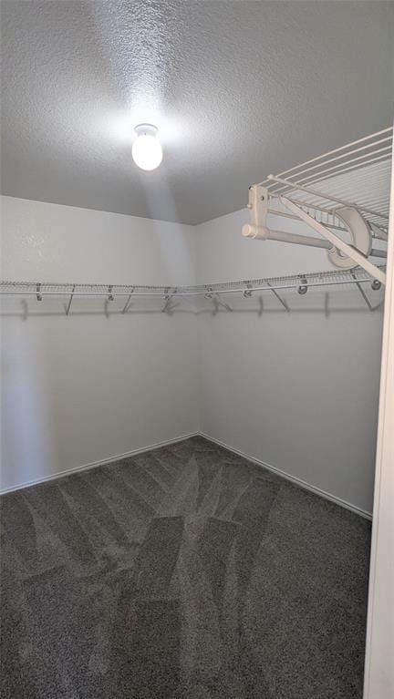 1029 Magnolia Lane, Cedar Hill TX 75104 - Photo 21